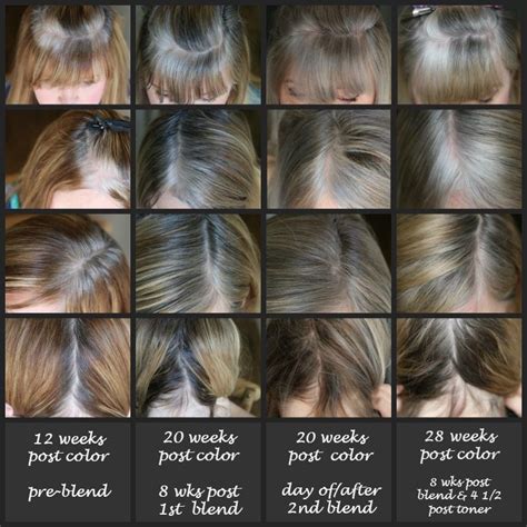 Going gray with long hair is also a good route to go if you find that you are really enjoying the gray hair transition. My Transition to Gray Hair - dimplesonmywhat