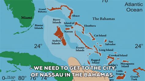 Celebrate your territory with a leader's boast. Bahamas GIFs - Find & Share on GIPHY