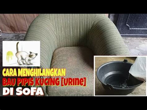 Cara hilangkan bau kencing kucing dalam kereta. Cara Menghilangkan Bau Air Kencing Kucing - Menghilangkan ...
