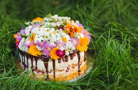 Häufige fragen zum thema kuchen. Nackter Kuchen Verziert Mit Blumen Auf Dem Gras Stockbild ...