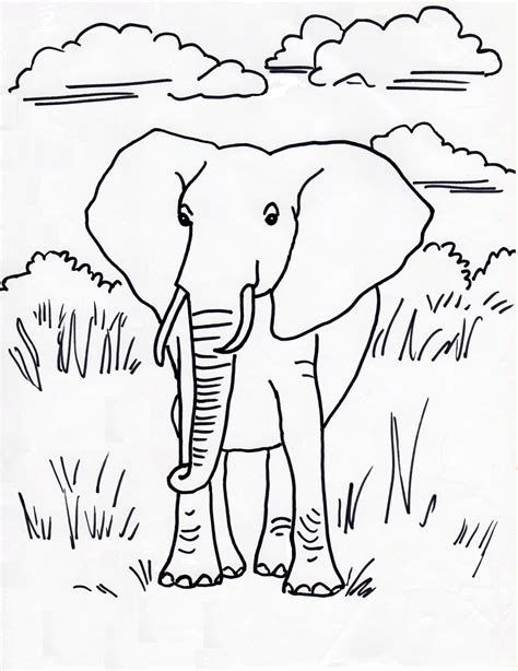 Cat colouring pages activity village. African Elephant Coloring Page - Samantha Bell