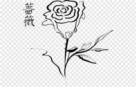 Detail umpan balik pertanyaan tentang. Kumpulan Gambar Bunga Mawar Putih Yang Cantik & Indah ...