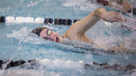 We did not find results for: Sydney Zupan - Swimming and Diving - Missouri State