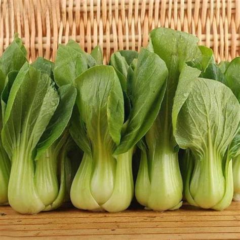 Benih unggul sawi daging pak choy white. Biji Sawi Daging Pak Choi Bok Choy Chinese Cabbage ...