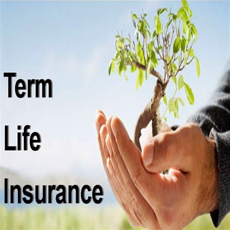 It's common for a policy to last 20 or 30 years. Instant Term Life Insurance Quotes Online 06 | QuotesBae