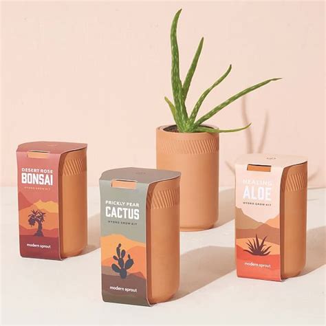 Grow a healthy hedgehog cactus. Modern Sprout Terracotta Assorted Grow Kit in 2020 | Grow ...