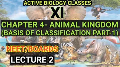 Only about 953,434 animal species have been catalogued in the animal kingdom. animal kingdom basis of classification | animal kingdom ...