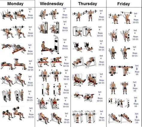 Exercise sets reps chest barbell bench press 4 10, 8, 8, 6 incline bench press 3 8, 8, 6 decline bench press 3 8, 8, 6 dumbbell flys 2 10 dumbbell pullover 2 8. Bodybuilding program, Bodybuilding workout plan ...