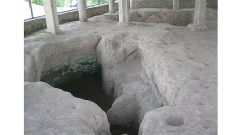 It is the oldest evidence of rice cultivation in any part of the world. Saving Kashmir's Prehistoric Gem