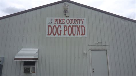 Directory of columbus ohio dog breeders with puppies for sale or dogs for adoption. Pike Pet Pals - Adoptable Dogs at the Pike County Dog ...