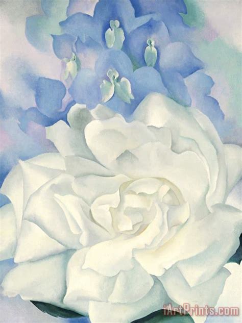 More images for georgia o'keeffe white rose » Georgia O'keeffe White Rose with Larkspur No. 2, 1927 ...