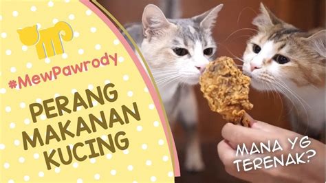 Kucing dan ayam lucu sedang makan tikus. PERANG MAKANAN KUCING! Parodi Giveaway Mobil Raditya Dika ...