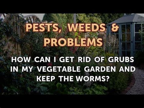 You can mow the garden, seal any extra holes, fencing the garden some of the ways are listed below how you can use the things and materials to get rabbits away from your garden naturally. How Can I Get Rid of Grubs in My Vegetable Garden and Keep ...