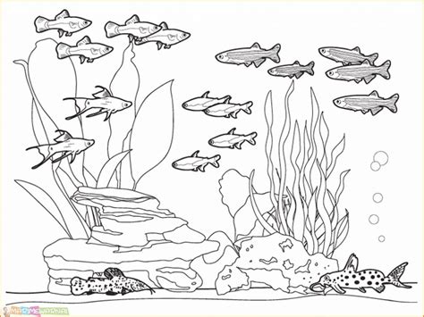 Gambar tema 1 diriku kelas 12 berapa anak gambar sd kls di sumber : √13 Mewarnai Pemandangan Bawah Laut Untuk Anak 2020 ...