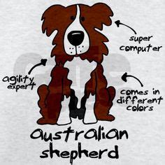 Die 33 besten Bilder von Australian Shepherd | Tiere ...