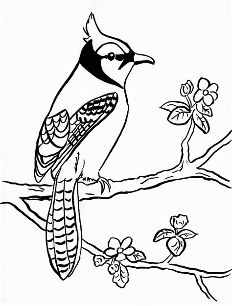 Blue jay coloring page awesome regular show coloring sheets coloring from toronto blue jays logo coloring pages. Toronto Blue Jays Logo Coloring Pages | divyajanani.org