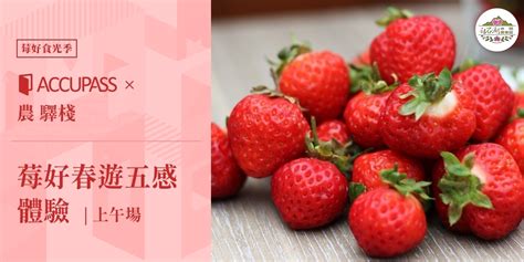 內湖 草莓 : 2021å °åŒ—å…§æ¹-è ‰èŽ
