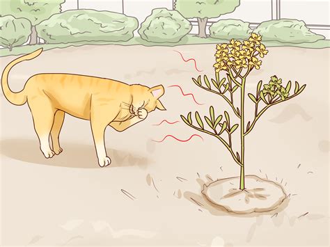 Cats are attracted to the scent of food, so try feeding pets elsewhere—and bring the food indoors at night. 3 Ways to Keep Cats Out of Your Yard - wikiHow