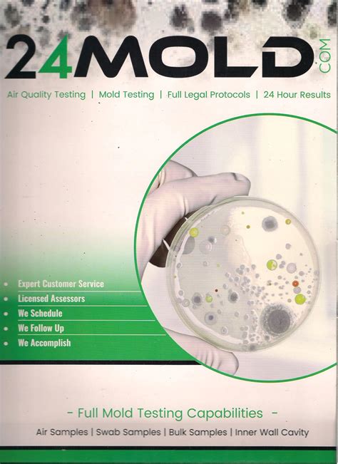 Asymptomatic travelers entering new york from another country, u.s. Mold Services Fort Lauderdale | Hollywood Fl Mold Experts ...