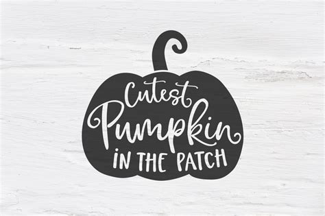 We have a huge range of illustrations products available. Cutest pumpkin in the patch SVG, EPS, PNG, DXF (117277 ...