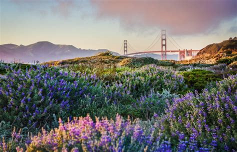 Find out what's closed, canceled and other updates for attractions, museums, events on march 23, the mayor announced that san francisco has moved into the orange tier, so is able to open up additional services and attractions. Baker Beach and the Golden Gate Bridge - Stuck in Customs