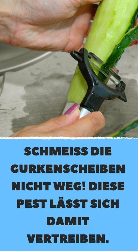 Ameisen im garten natürlich bekämpfen. Ohne Chemie: 10 natürliche Mittel gegen Ameisen in der ...