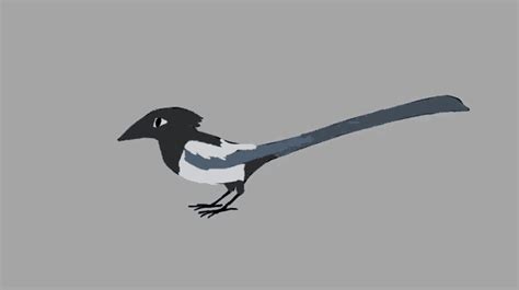 Personal attacks, slurs, bigotry, etc. Magpie GIF - Magpie - Discover & Share GIFs