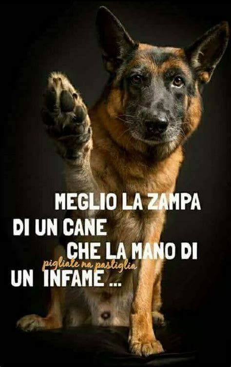 E' domenica mattina e vorresti riposarti tutti i giorni così. Pin di Paola 2013 su i"Veri amici FEDELI " | Citazioni ...