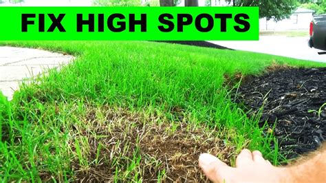 You can address this by leveling the areas around the patches to even out the if you're keeping up with frequent mowing, use the mower's mulching function. How to fix high spots in your lawn - YouTube