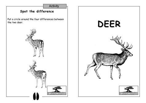 7 Best Images of Worksheets Spot The Difference - Find Spot the Difference Printable, Spot the 
