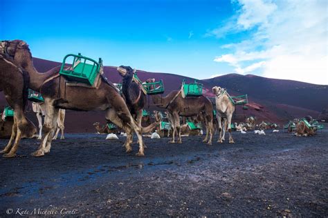 The islands have gone through a phase of initial expansion, phases of less activity when erosion has been the predominant process, and then phases. Discovering the Timanfaya National Park • The Italian Chica