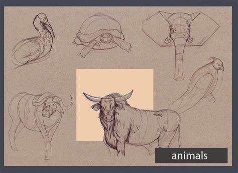 Please respect each stuff and artist, no stolen draw, do not claim as your own, no redistribute. 11519.jpg (1200×877) | Animal drawings, Drawing tutorial, Character design