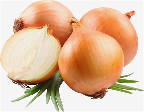 Onions Benefit to Smooth Digestive and Lower The Risk of Heart | Health ...
