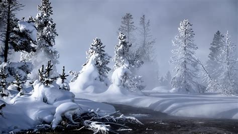¿cómo son los paisajes de montaña? Banco de Imágenes: 20 fotografías del invierno - Winter ...