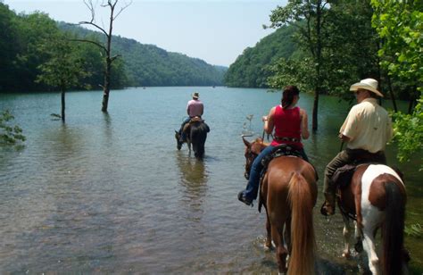 Hotels, apartments, villas, hostels, resorts, b&bs Hidden Creek Cabins (Bryson City, NC) - Resort Reviews ...