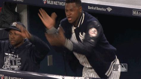 Cards, playing cards, card trick! Luis Severino Yankswildcardstory GIF by MLB - Find & Share on GIPHY