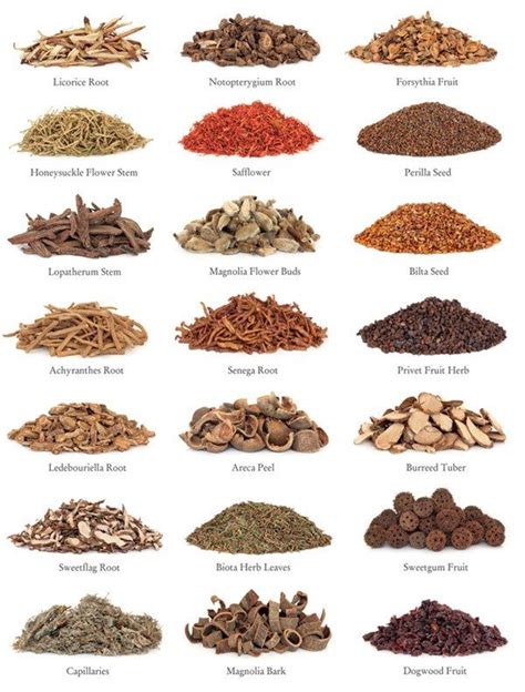 Maybe you would like to learn more about one of these? Common Chinese medicinal herbs recognition