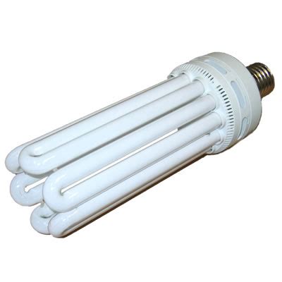 Fluorescent cfl bulbs are highly used and quite favored by many gardeners to grow plants indoors when the natural light source is just not enough. 125 Watt CFL Grow Light Bulbs