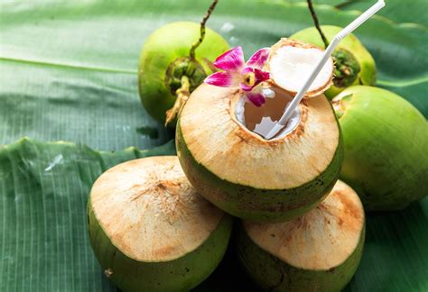 Younger, green coconuts produce better coconut water. Nutritional Profile of Coconut Water