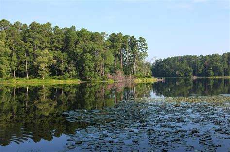 Check spelling or type a new query. Daingerfield State Park - DearTexas,