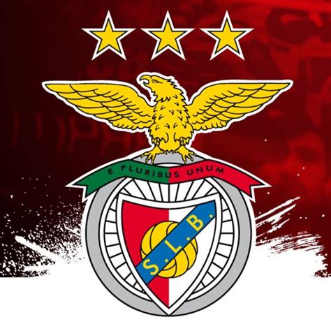 Úsalos en facebook, twitter, instagram o en su blog! Facebook do Benfica! | Benfica wallpaper, Papel de parede ...