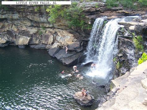 It is not intended for promotion any illegal things. week off and go swim almost everyday at little river falls ...