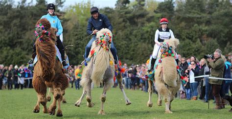 You can find the latest news and updates on the sport and our organisation here. Oliver Townend does it again at Barefoot Estates Burnham ...