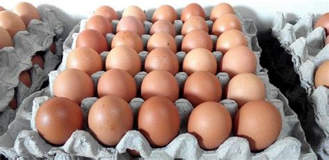 Laporan harga purata terkini peringkat runcit komoditi harian pada khamis, 10 jun 2021  harga terdahulu (selasa, 8 jun 2021)  Cara Makan Telur Yang Terbaik Untuk Bina Otot - Mesotropin