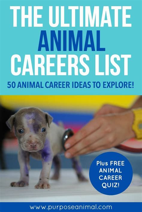 Animals play a significant role in many areas of human life including pets for companionship, the food industry, sports, education and science. The Ultimate Animal Careers List - 50 Animal Career Ideas ...