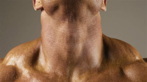 The subcutaneous muscle of the neck (platysma) is thin, flat, lies directly under the skin. Neck Training with Head Nods | Muscle & Fitness