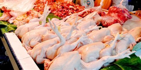 Chikyuu marugoto choukessenдраконий жемчуг зет: Diserbu Ayam Impor Brasil, Bagaimana Nasib Sektor Perunggasan? - alatternakayam.com