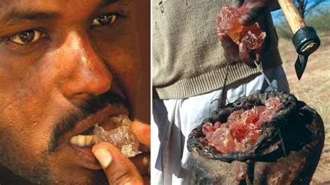 Penyakit batu karang, kencing berdarah & mati pucuk (erectile dysfunction). Arabic Gum: Kelebihan dan Rawatan Buah Pinggang?