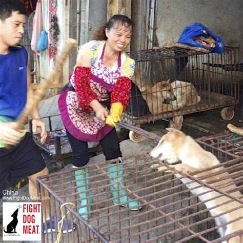 Awesome vintage from the best days of porn. China: Happy Wife Dog Butcher Laughs As She Kills - Fight ...