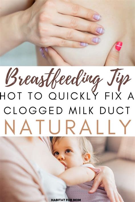 Check spelling or type a new query. Breastfeeding Tip - How to Fix a Clogged Milk Duct ...